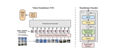 Transformers for Image Recognition at Scale .